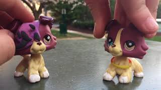 LPS: Doing Your Dares! | BigBlueCat