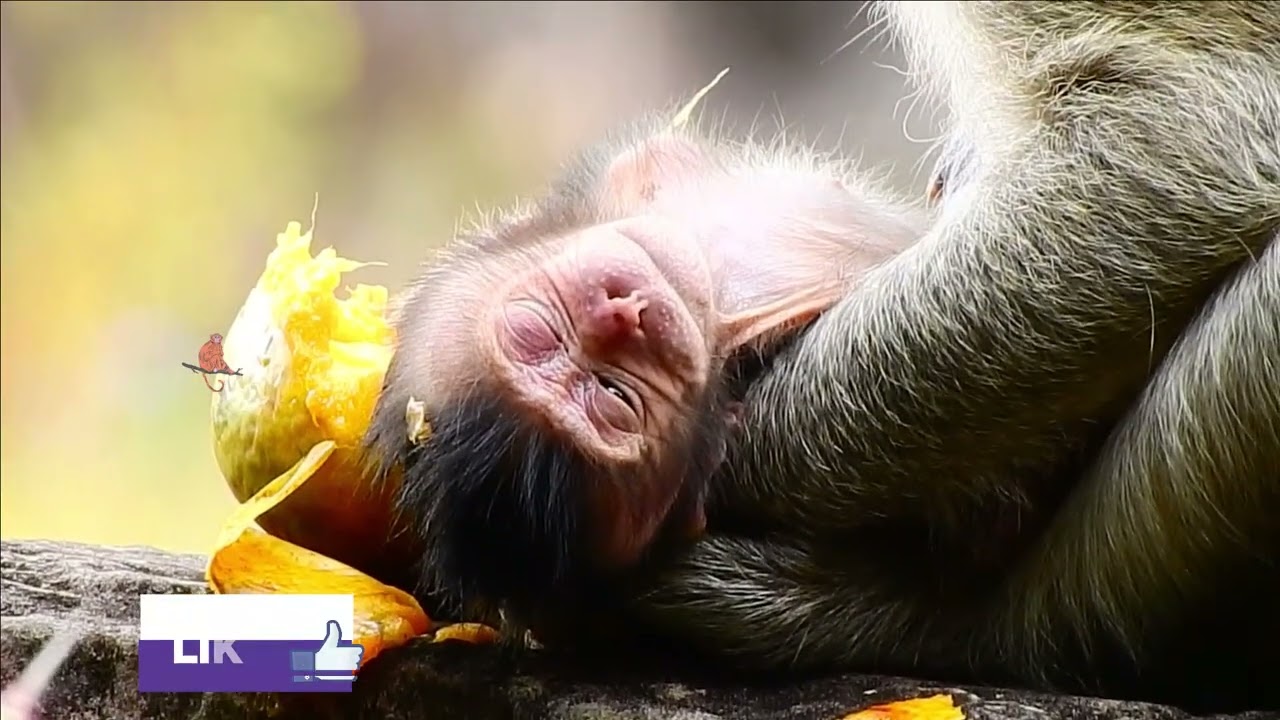 NEWBORN BABY DASHA WHEN SHE WAS BORN