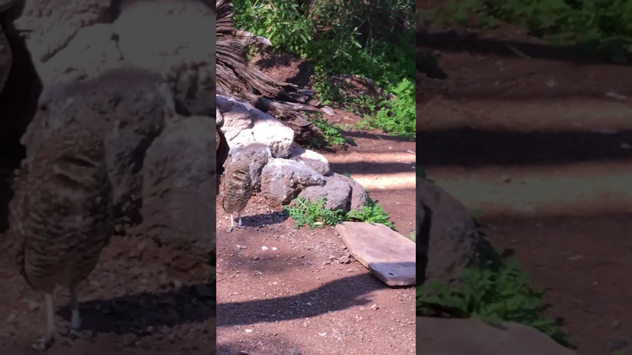 March 3, 2020 YouTube