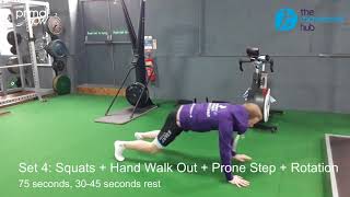 The Movement Hub | Primal Flow | Mobility Warm Up