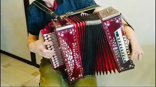 картинка: Звучание бомба 💥Гармонь любительская в Ре-диез/Играет Илья Хватков