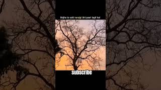 #flute #music #sad short #love shorts #viral shorts #youtube shorts. #lofimix