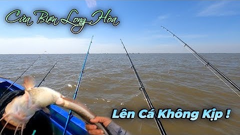 Trở Tay Không Kịp ! Câu trúng luồn Cá Ngát nơi Cửa Biển | GĐCG #652