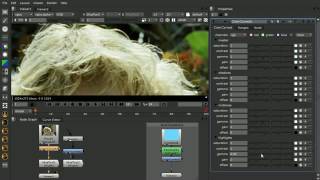 NUKE101 30 Color Correct Node