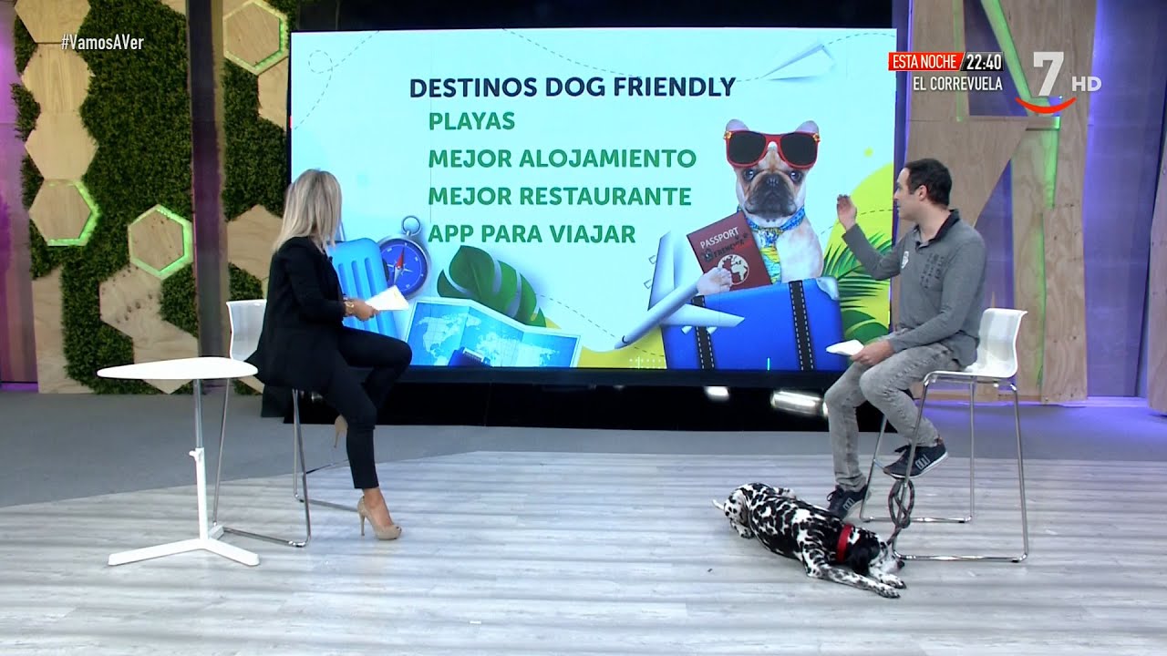 Lugares con encanto: Destinos 'dog friendly' | Vamos a ver