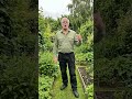 Grow your own, store more dry and tinned