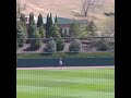 Michael Anderson LAUNCHES a Home Run vs. Nebraska | Penn State Baseball
