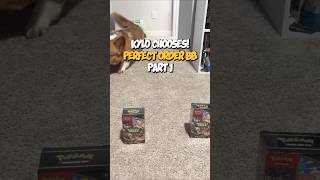 Kylo (CORGI) chooses the box!! Did it have a hit? PART 1