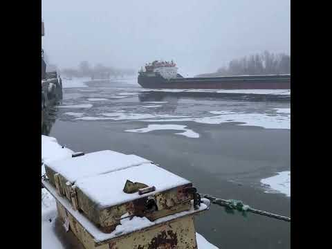 Перевалка Пшеница в