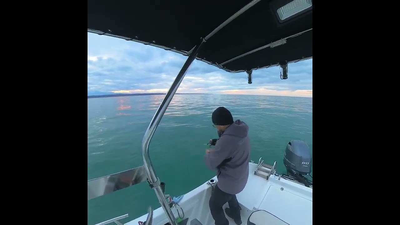 Una Piovra a bordo...!!!