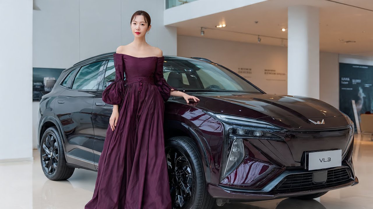 Запущен GWM VLA: познакомьтесь с новым партнером по безопасности на автосалоне Познакомьтесь с но...