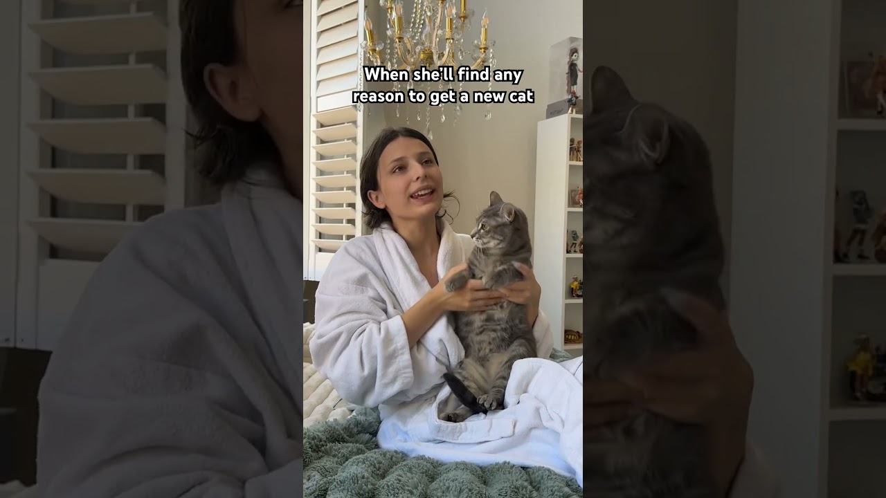 She will always find a reason! Leave a like if you really really REALLY want us to get a new cat