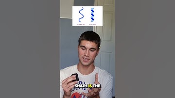 Primary & Secondary Structures of Proteins #science #protein #proteinstructure #macromolecules