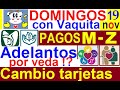DOMINGOS CON VAQUITA: ADELANTOS BIENESTAR RUMOR, CAMBIO TARJETAS SE VENCEN, PAGOS, AUMENTOS. 19 NOV