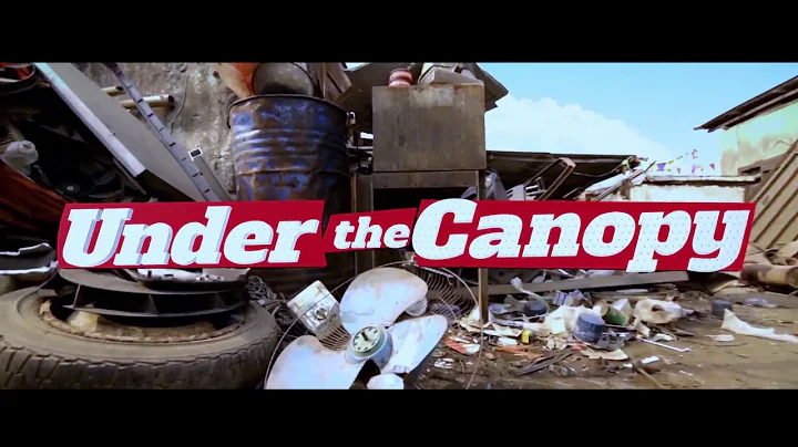 Frank Edwards - Under The Canopy (Official Music V...