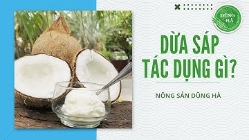Dừa sáp là gì? Ăn như thế nào? Cách chế biến dừa sáp #xuhuong #healthy #review