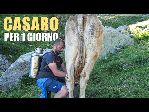 In Val d'Inferno a fare il BURRO d'alpeggio 🧈🐮