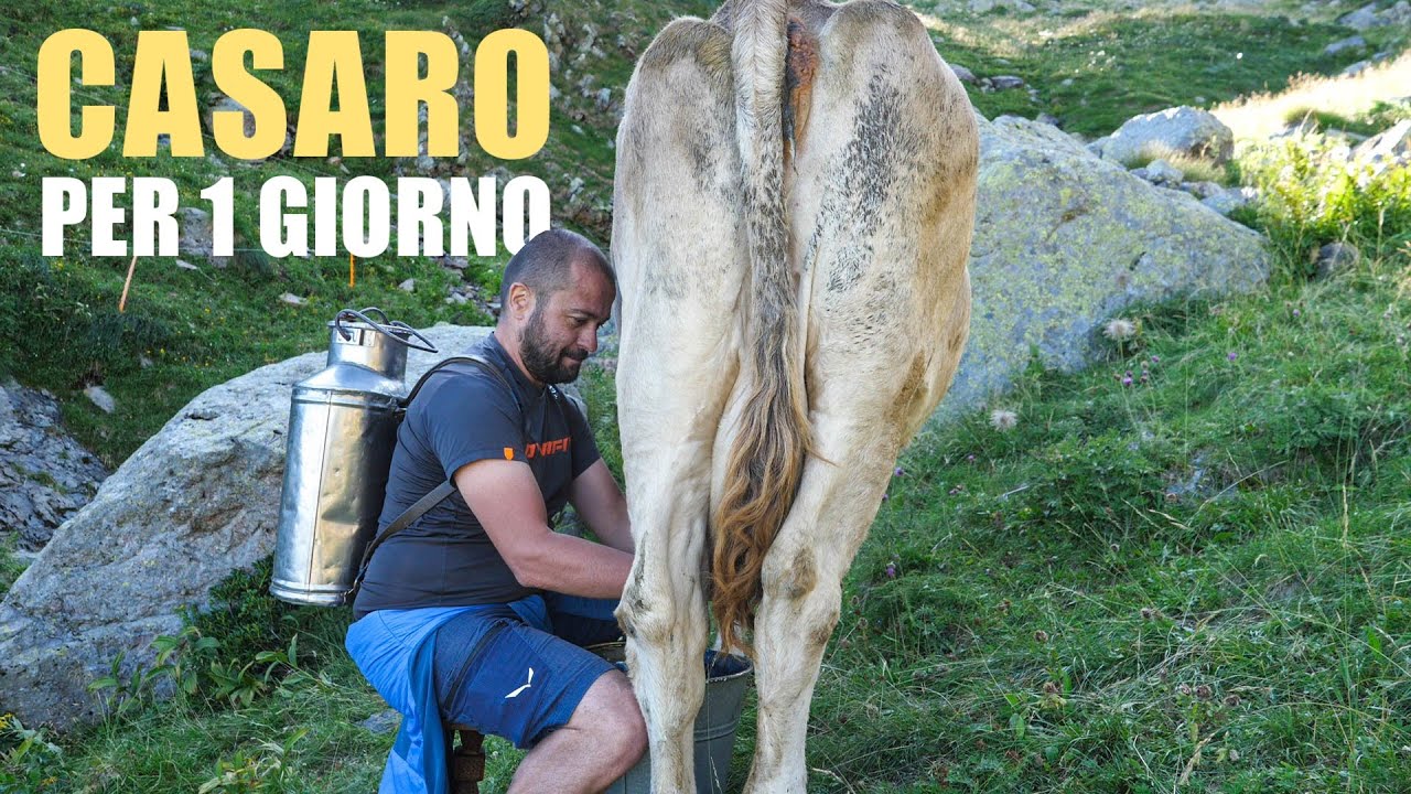 In Val d'Inferno a fare il BURRO d'alpeggio 🧈🐮