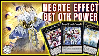 You Won’t Expect This! Shinobird Deck with Utopia Negate Combo and OTK Finish