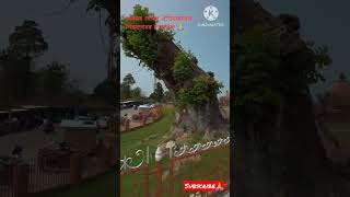 Sivasagar Temple| Shiva Dall| Sivasagar Mandir