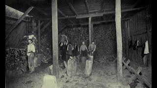 Origen del Trabajo Social en América Latina