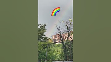 BLUE MAGIC CHASING RAINBOWS 🌈 #rainbow  #pride #pridemonth 🙏🏽 #bluemagic #youtubeshorts