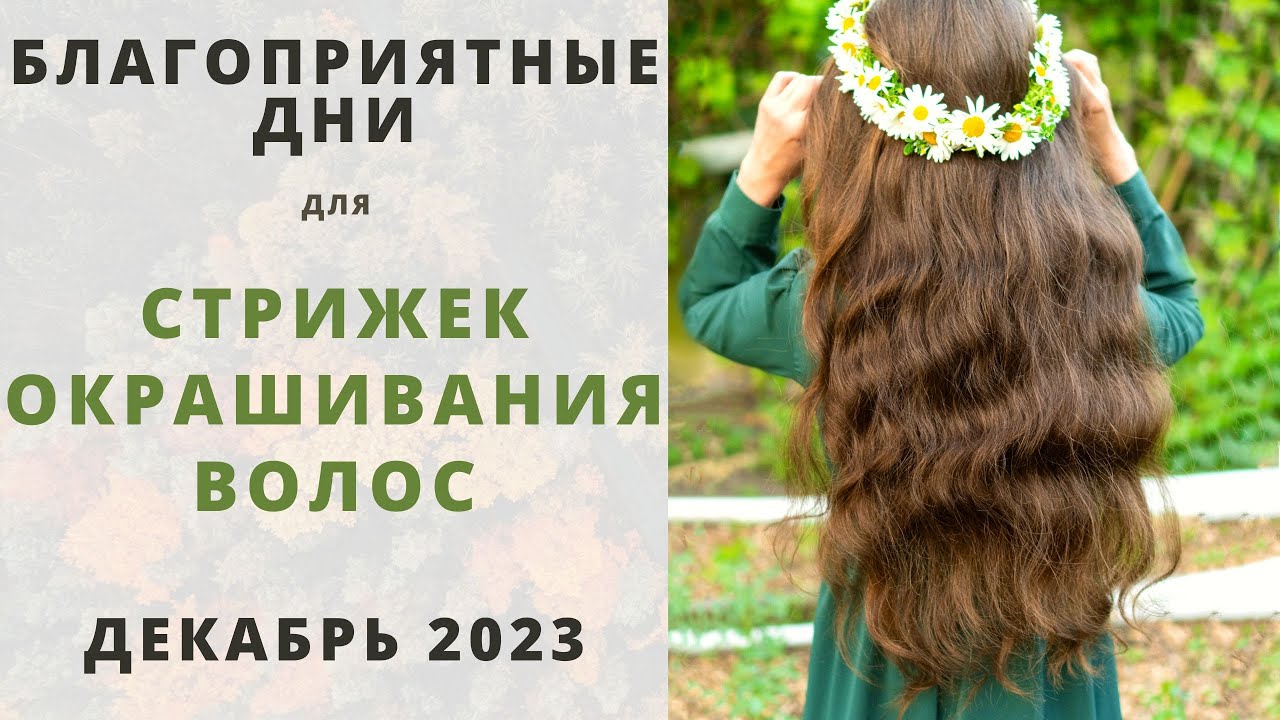 Лунный календарь стрижек в 2024 году