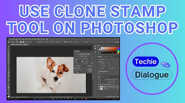 How to Use the Clone Stamp Tool on Photoshop