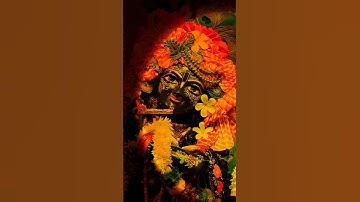 मैं सेवा में तेरी करूं खुद को अर्पण ❤️🙏 Krishna status #shorts #trending #bhakti #youtubeshorts