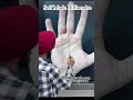 Self Made Billionaire Sign in Hand | Dikki Palmistry #Palmistry #Astrology #dikkipalmistry