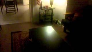 Warren Street Apartment in Cambridge for Rent $800 per month