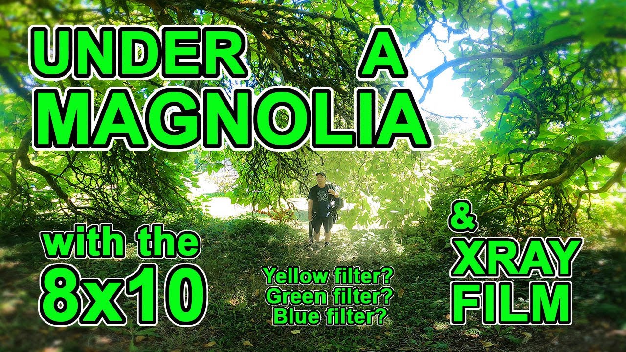 Пленка XRAY и три фильтра: желтый, зеленый, синий…