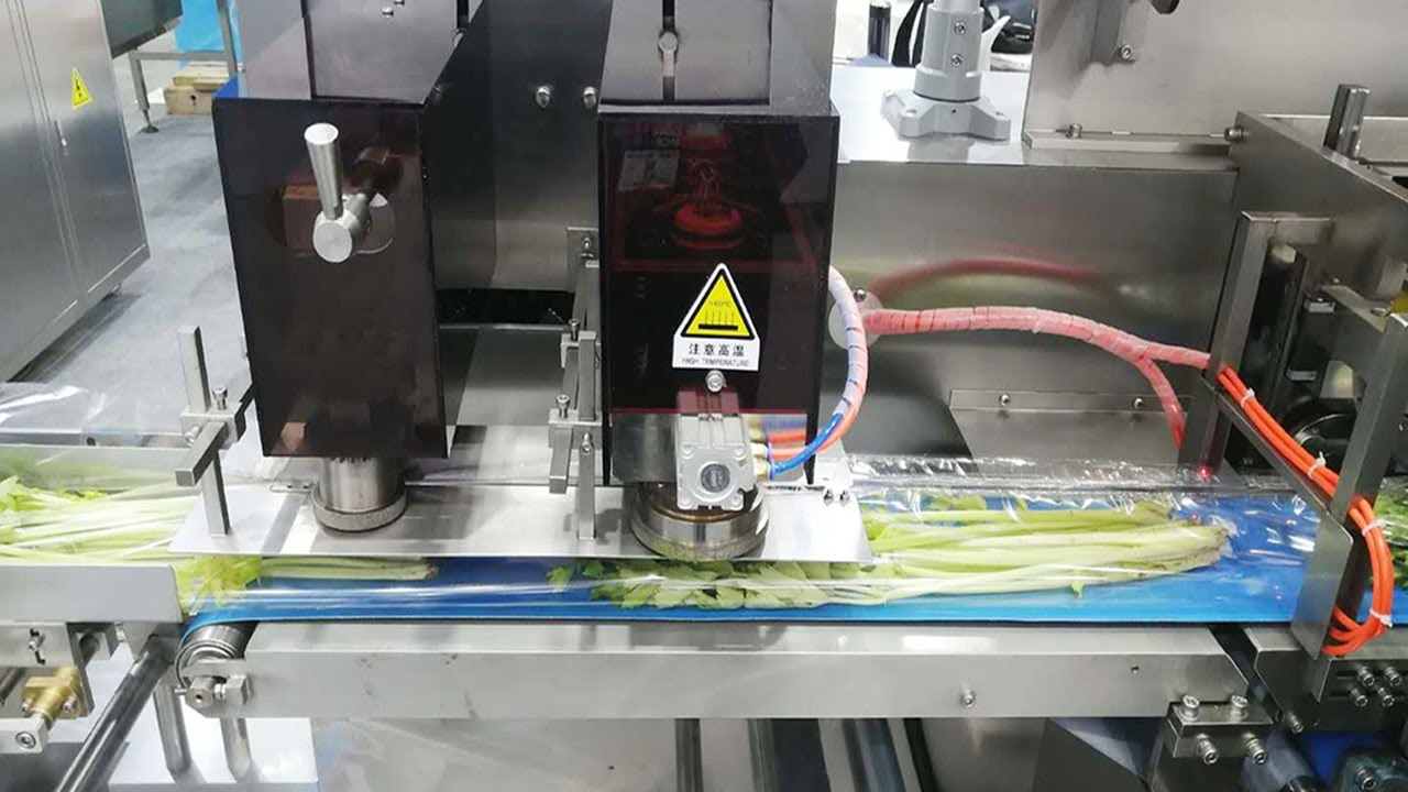 Reciprocating type flow wrapping machine for fruits vegetables snacks