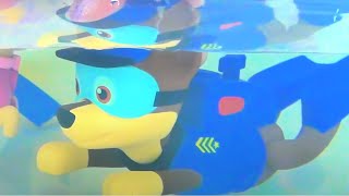 Bath Hygiene with Paw Patrol Paddlin' Pups Paint Activity for Kids