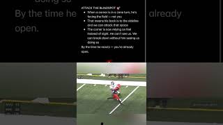 Attacking The Blindspot