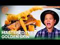 The Ultimate MasterChef Redemption | MasterChef Canada Highlights