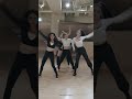 Aespa 에스파 BLACK MAMBA Dance Practice Mirrored Ver WINTER 