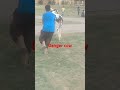 Danger Cow