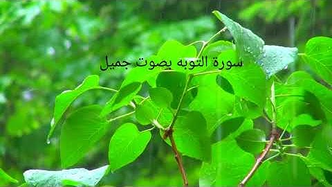 سورة التوبه بصوت جميل وهادئ ٢٠٢١                 Surat Al-Tawbah in a beautiful and calm voice 2021
