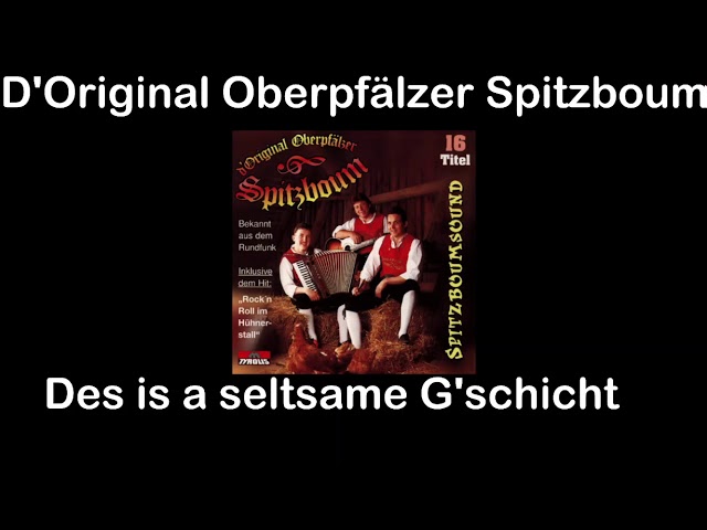 D'Original Oberpfälzer Spitzboum - Kleines Fräulein