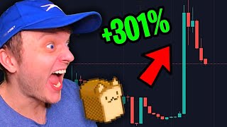 This Memecoin Gem Is Ready To Explode Is Catbread The Next Shiba Inu Coin?