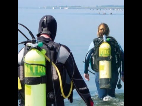 Video: Hoe De Gevarenklasse Van Een Afvalstof Te Bepalen?