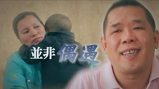 电视节目TV1301并非偶遇 (HD 国语) (中南美洲系列)