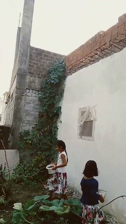 ruchi-paudhe-ko-pani-de-rahi-hai-please-like-youtube
