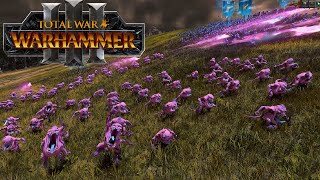 How to Build an Army with Tzeentch