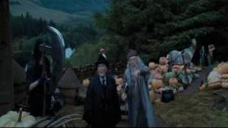 falling in love with hermione granger 4