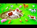 Baby Cow Rescue from Mud - Funny Animals Racing Videos | Cow Cartoons 3D | Funny Cows Videos