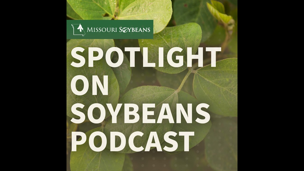 Spotlight on Soybeans Podcast Ep. 9 | Soybean Transportation