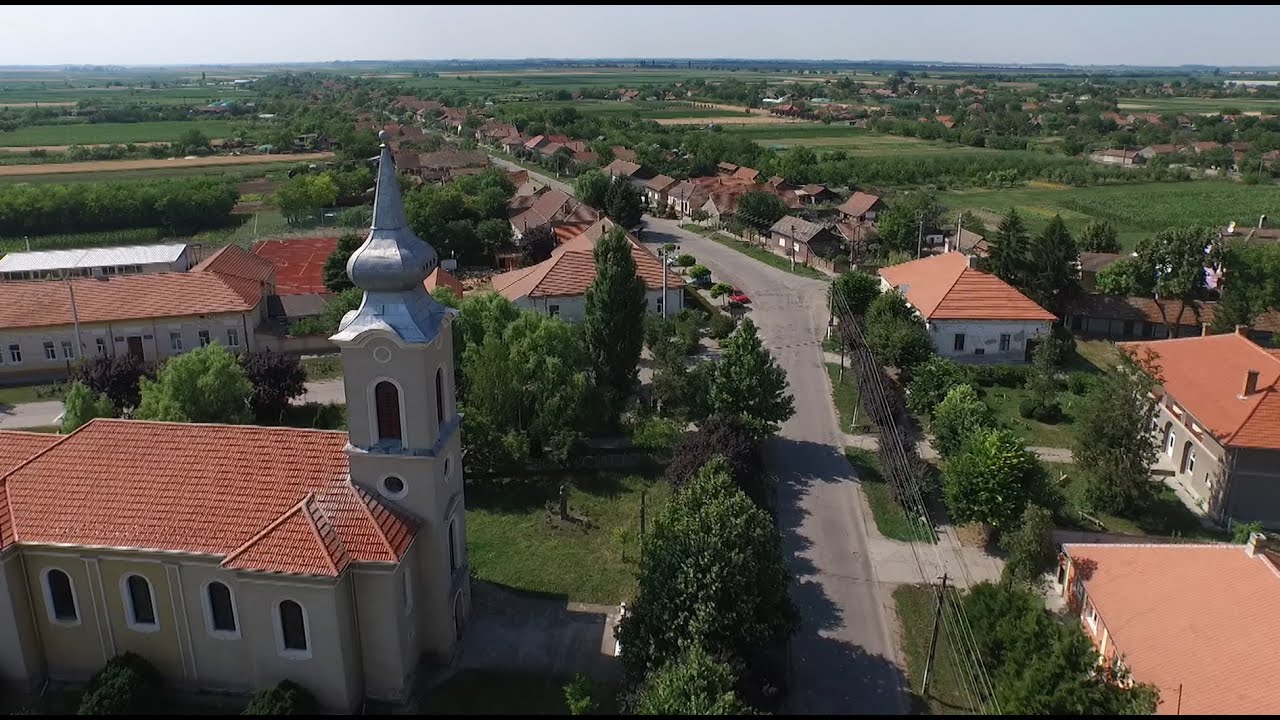 Perla câmpiei, Dorobanţi