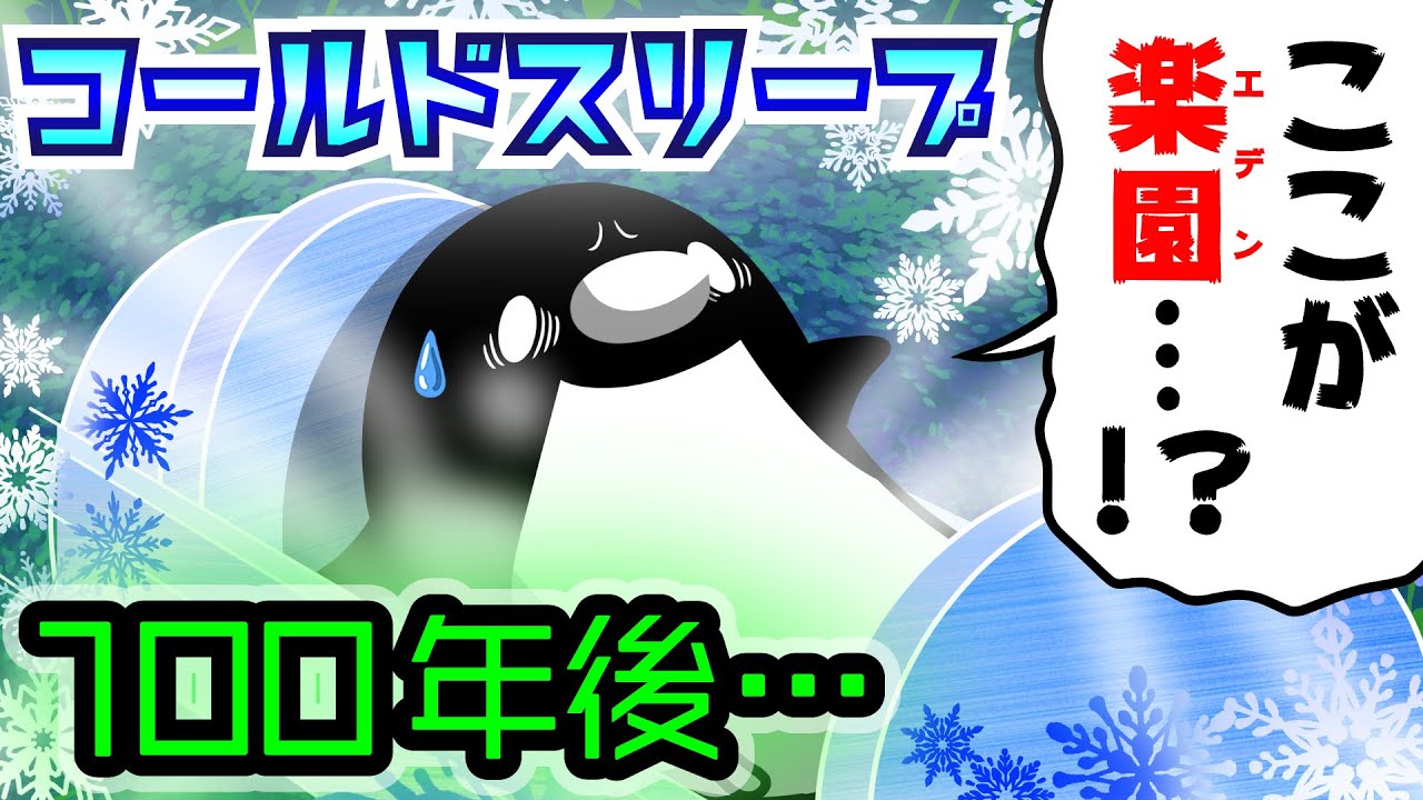 テイコウペンギンのパンダはうざいし腹黒い 本当はいいやつという意見も めぐみとくぅちゃんのお役立ち情報